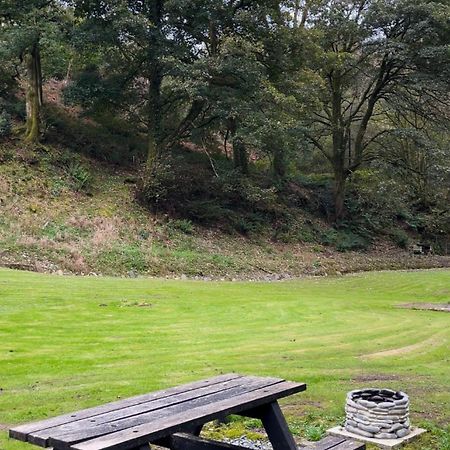 Bear Cottage, Tyn Y Cwm Eglwys-Fach Dış mekan fotoğraf