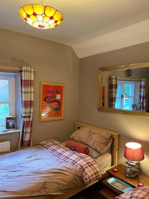 Bear Cottage, Tyn Y Cwm Eglwys-Fach Dış mekan fotoğraf